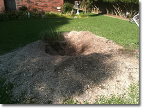 Stump Removal in Dallas, TX